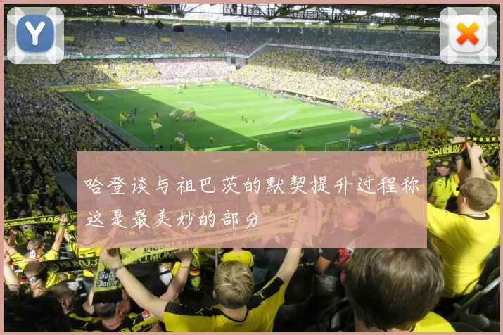 哈登谈与祖巴茨的默契提升过程称这是最美妙的部分