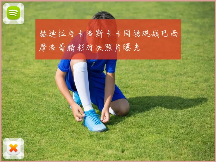赫迪拉与卡洛斯卡卡同场观战巴西摩洛哥精彩对决照片曝光