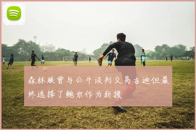 森林狼曾与公牛谈判交易吉迪但最终选择了鲍尔作为新援
